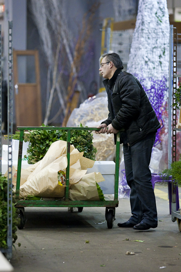MIN RUNGIS-Fleurs-80.jpg